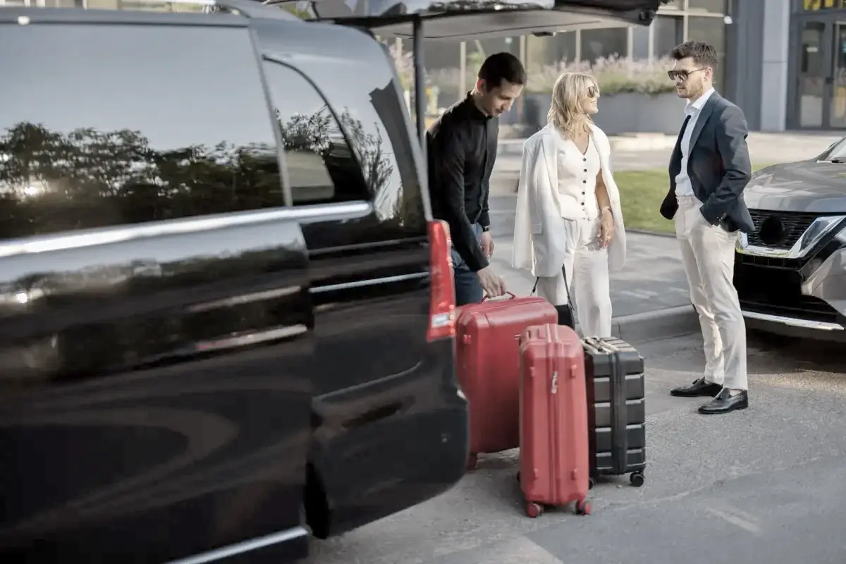 Milas Bodrum Airport Transfer Services